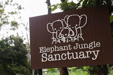 Azamara Cruises Elephant Sanctuary in Thailand © Jenna Lyn, Azamara Cruises3.jpg